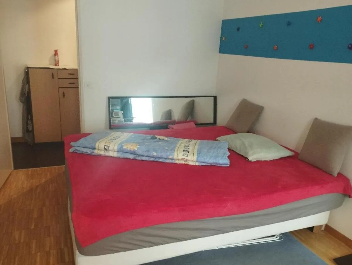 בזל Bright Flat With Workspace Near Downton שוויץ